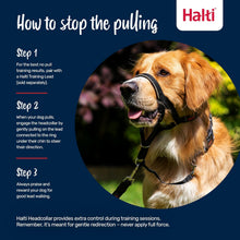 Headcollar - Stop Your Dog Pulling on the Lead. Adjustable, Reflective and Lightweight, with Padded Nose Band. Dog Training Anti-Pull Collar for Medium Dogs (Size 3, Black)