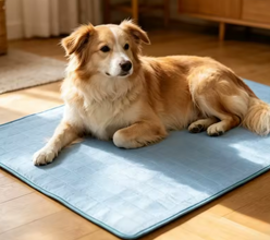 LumePaw Cooling Mat – Ice Silk Dog Cooling Bed