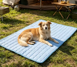LumePaw Cooling Mat – Ice Silk Dog Cooling Bed