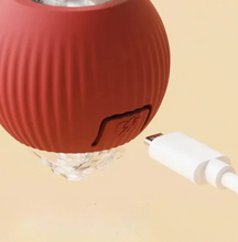 Active Rolling Ball with Tail for Dogs