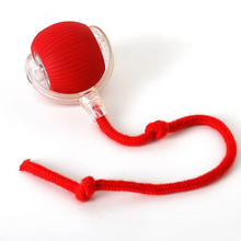 Active Rolling Ball with Tail for Dogs