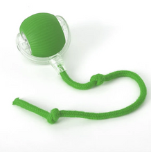 Active Rolling Ball with Tail for Dogs