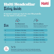 Headcollar - Stop Your Dog Pulling on the Lead. Adjustable, Reflective and Lightweight, with Padded Nose Band. Dog Training Anti-Pull Collar for Medium Dogs (Size 3, Black)